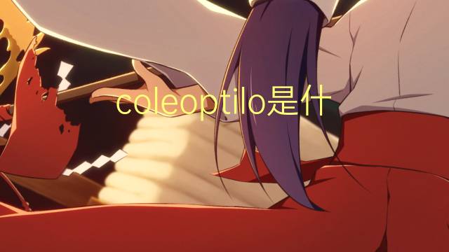 coleoptilo是什么意思 coleoptilo的读音、翻译、用法