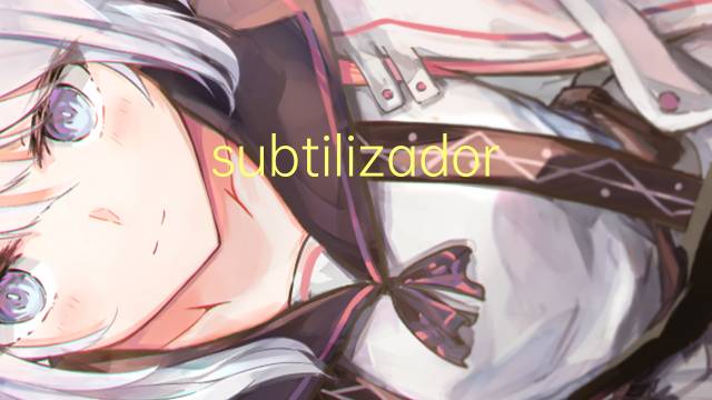 subtilizador是什么意思 subtilizador的读音、翻译、用法