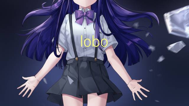 lobo temporal是什么意思 lobo temporal的读音、翻译、用法