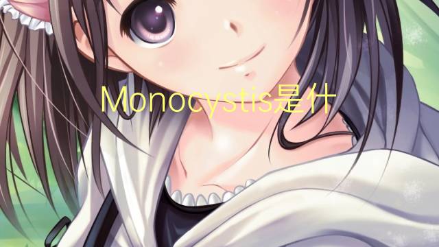 Monocystis是什么意思 Monocystis的读音、翻译、用法