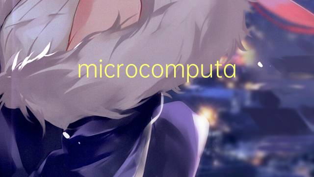 microcomputador是什么意思 microcomputador的读音、翻译、用法