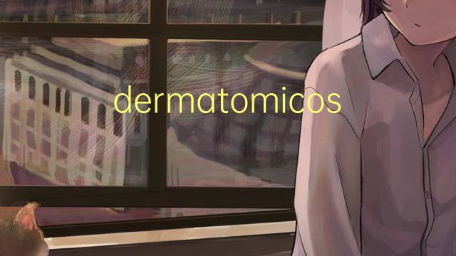 dermatomicose是什么意思 dermatomicose的读音、翻译、用法