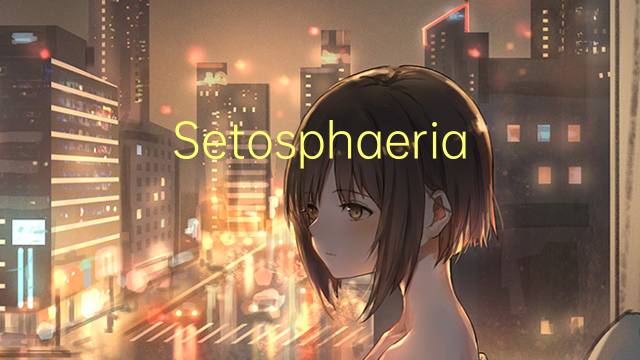 Setosphaeria turcica是什么意思 Setosphaeria turcica的读音、翻译、用法