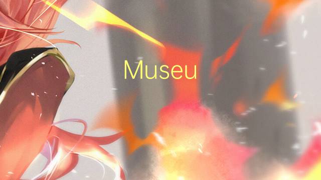 Museu Hunt是什么意思 Museu Hunt的读音、翻译、用法