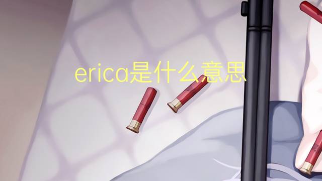 erica是什么意思 erica的读音、翻译、用法