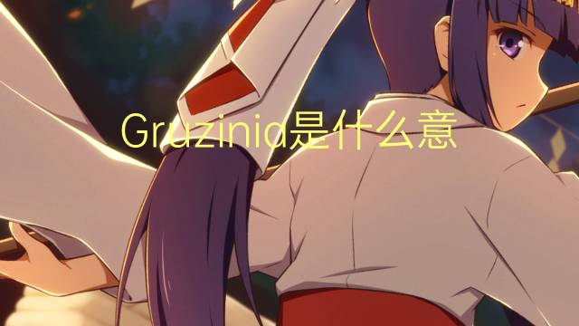 Gruzinia是什么意思 Gruzinia的读音、翻译、用法