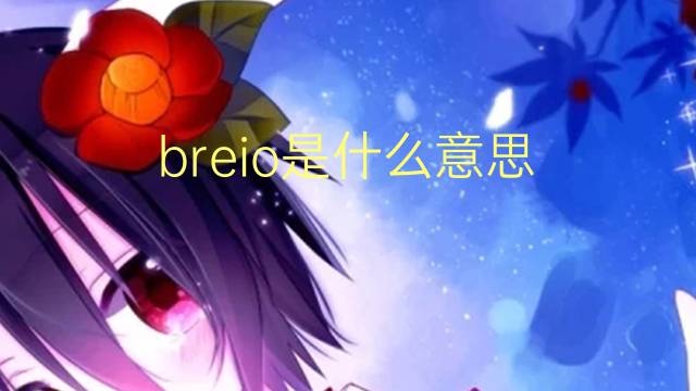 breio是什么意思 breio的读音、翻译、用法