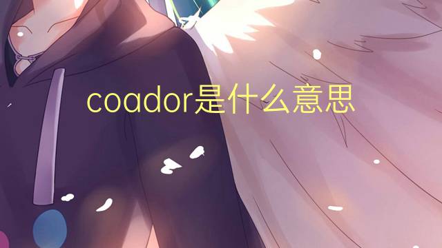 coador是什么意思 coador的读音、翻译、用法