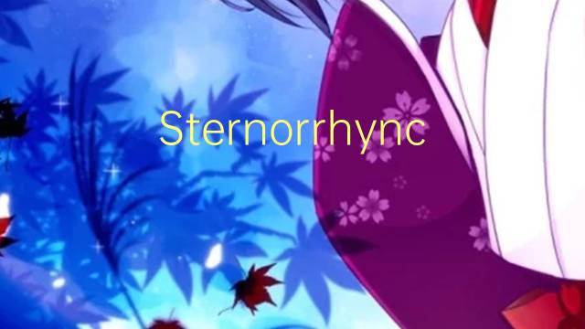 Sternorrhyncha是什么意思 Sternorrhyncha的读音、翻译、用法