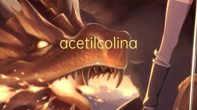 acetilcolina是什么意思 acetilcolina的读音、翻译、用法