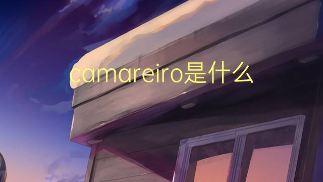 camareiro是什么意思 camareiro的读音、翻译、用法