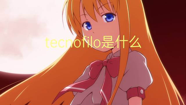 tecnofilo是什么意思 tecnofilo的读音、翻译、用法