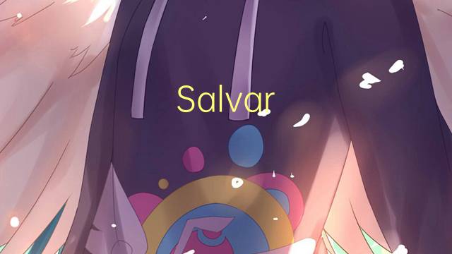 Salvar como是什么意思 Salvar como的读音、翻译、用法