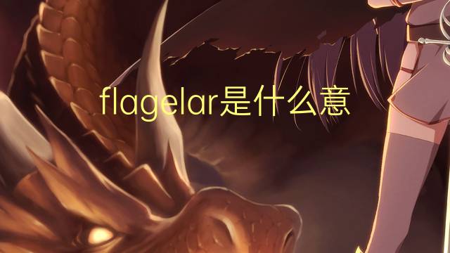 flagelar是什么意思 flagelar的读音、翻译、用法