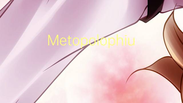 Metopolophium是什么意思 Metopolophium的读音、翻译、用法