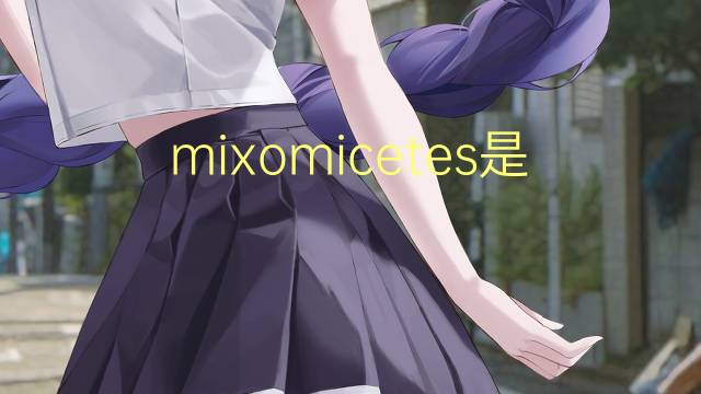 mixomicetes是什么意思 mixomicetes的读音、翻译、用法