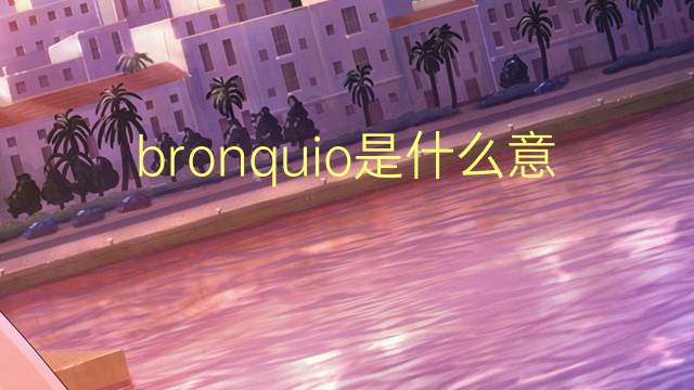 bronquio是什么意思 bronquio的读音、翻译、用法