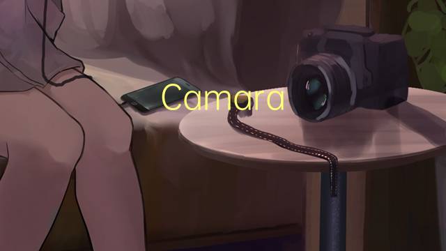 Camara unica是什么意思 Camara unica的读音、翻译、用法