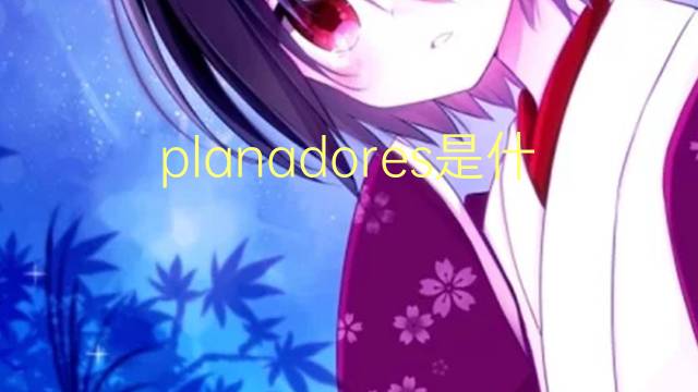 planadores是什么意思 planadores的读音、翻译、用法