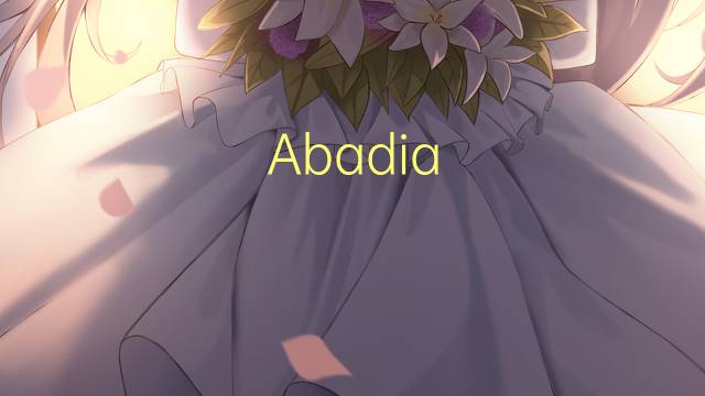 Abadia territorial是什么意思 Abadia territorial的读音、翻译、用法