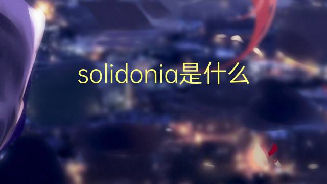 solidonia是什么意思 solidonia的读音、翻译、用法