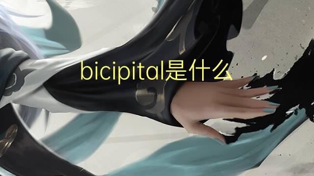 bicipital是什么意思 bicipital的读音、翻译、用法