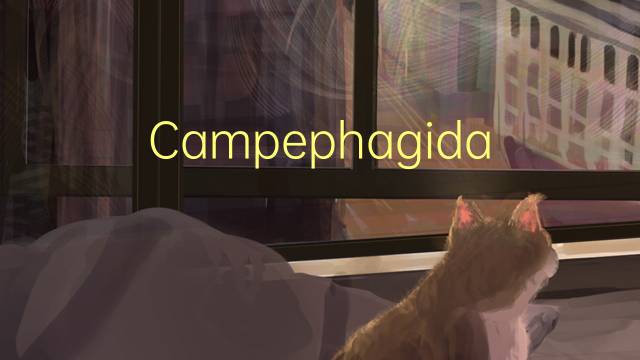 Campephagidae是什么意思 Campephagidae的读音、翻译、用法