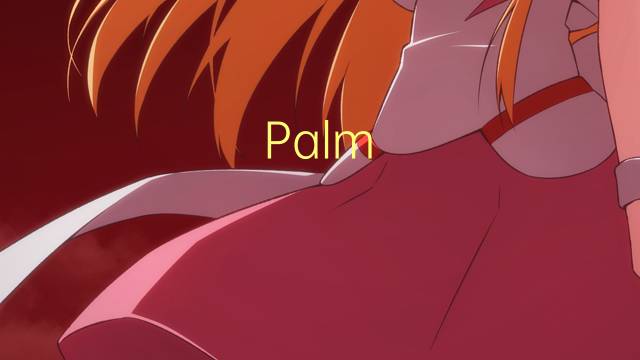 Palm Beach是什么意思 Palm Beach的读音、翻译、用法