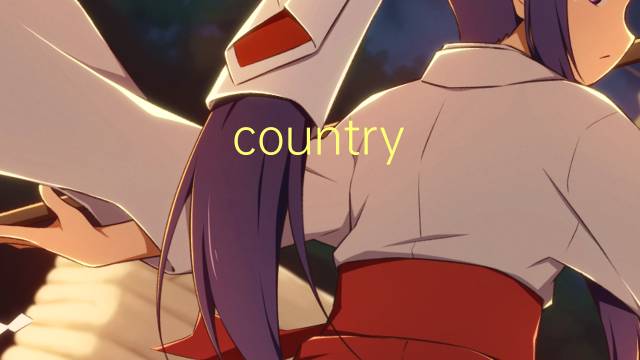 country rock是什么意思 country rock的读音、翻译、用法