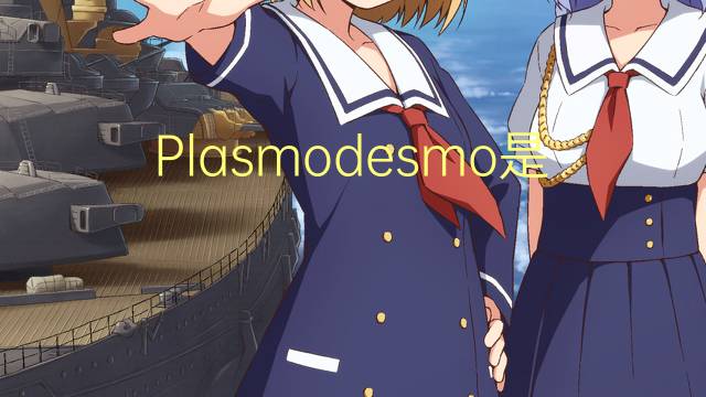 Plasmodesmo是什么意思 Plasmodesmo的读音、翻译、用法