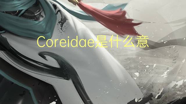 Coreidae是什么意思 Coreidae的读音、翻译、用法