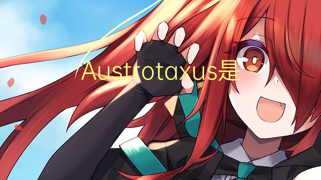 Austrotaxus是什么意思 Austrotaxus的读音、翻译、用法