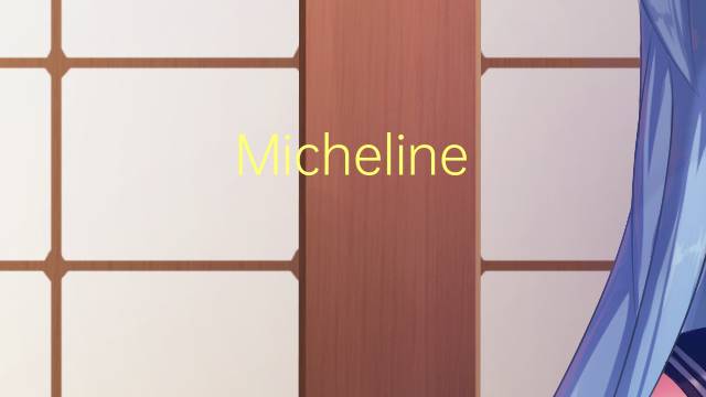 Micheline Calmy-Rey是什么意思 Micheline Calmy-Rey的读音、翻译、用法