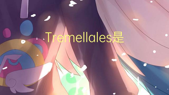 Tremellales是什么意思 Tremellales的读音、翻译、用法