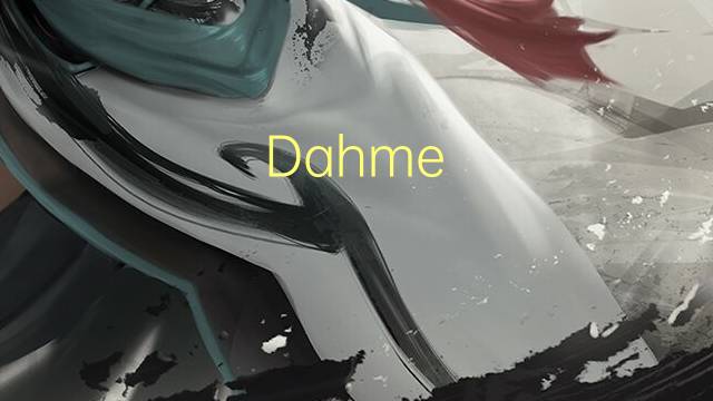 Dahme-Spreewald是什么意思 Dahme-Spreewald的读音、翻译、用法