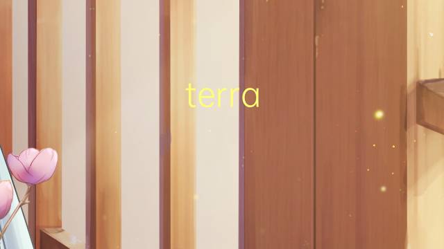 terra natal是什么意思 terra natal的读音、翻译、用法
