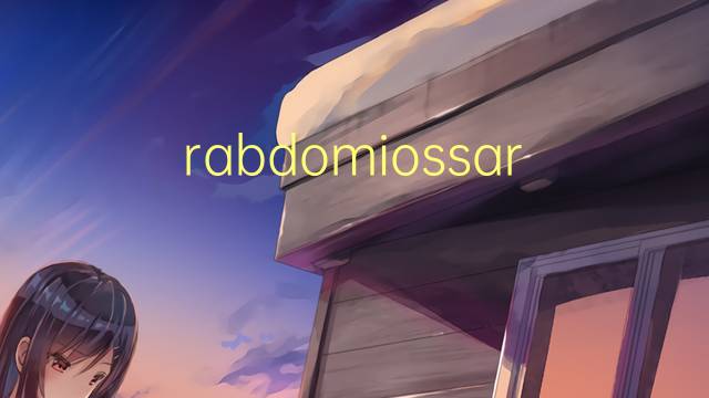 rabdomiossarcoma是什么意思 rabdomiossarcoma的读音、翻译、用法