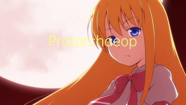 Protarchaeopteryx是什么意思 Protarchaeopteryx的读音、翻译、用法