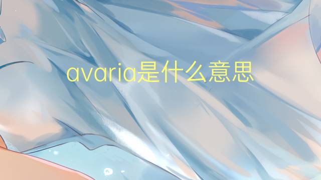 avaria是什么意思 avaria的读音、翻译、用法