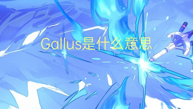 Gallus是什么意思 Gallus的读音、翻译、用法