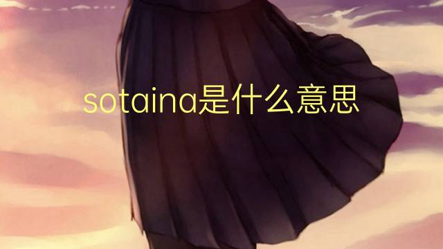 sotaina是什么意思 sotaina的读音、翻译、用法