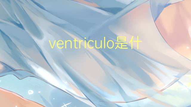 ventriculo是什么意思 ventriculo的读音、翻译、用法