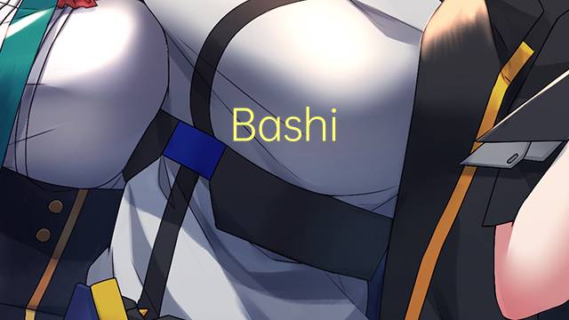 Bashi-bazouk是什么意思 Bashi-bazouk的读音、翻译、用法