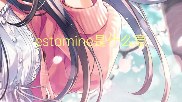 estamine是什么意思 estamine的读音、翻译、用法