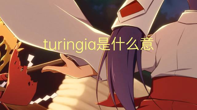 turingia是什么意思 turingia的读音、翻译、用法