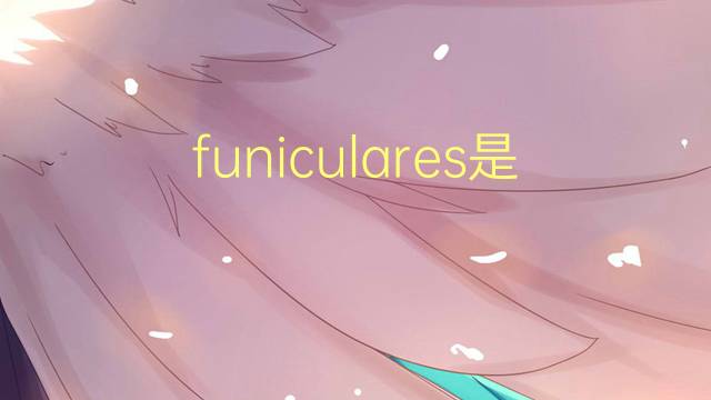 funiculares是什么意思 funiculares的读音、翻译、用法