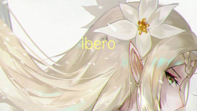 ibero-America是什么意思 ibero-America的读音、翻译、用法