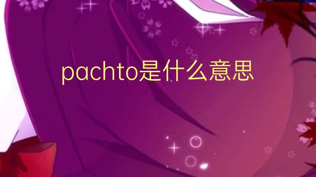 pachto是什么意思 pachto的读音、翻译、用法