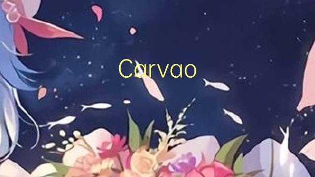 Carvao Mineral是什么意思 Carvao Mineral的读音、翻译、用法