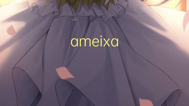 ameixa japonesa是什么意思 ameixa japonesa的读音、翻译、用法